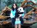 Pandas (006)